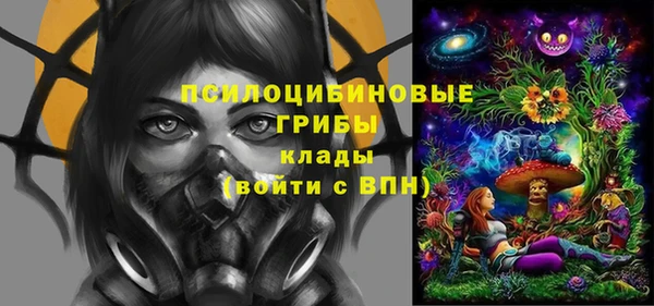 кокс Аркадак