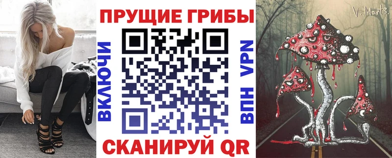 Галлюциногенные грибы Cubensis  блэк спрут как войти  Полысаево 