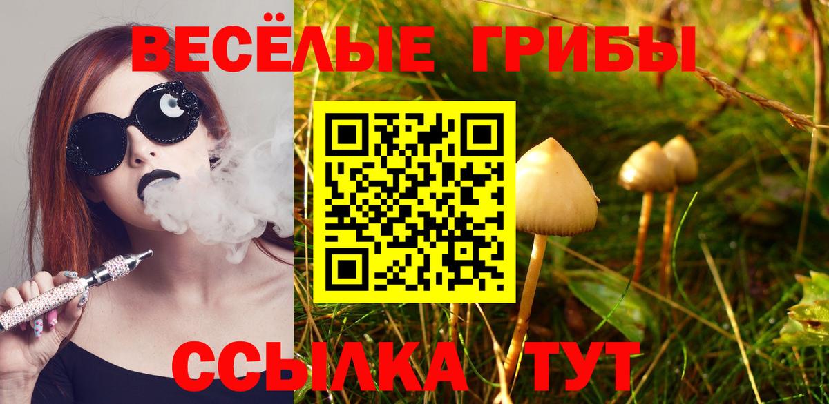 Полысаево  Галлюциногенные грибы прущие грибы  Галлюциногенные грибы Cubensis  Вход с VPN 